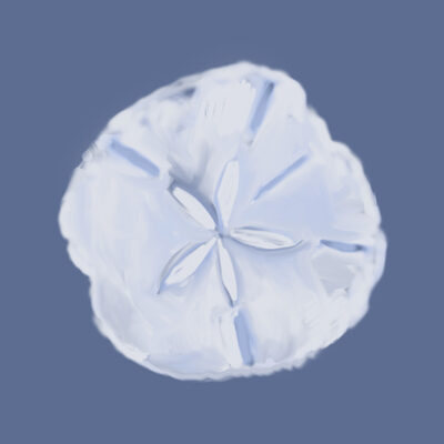 Image Not Available